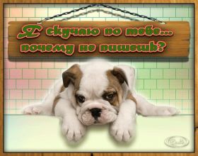 Открытка. Открытки Скучаю... Открытка скучаю, картинка скучаю, надпись скучаю, картинка скучаю без тебя Открытка скучаю, картинка скучаю, надпись скучаю, картинка скучаю без тебя, открытка скучаю по тебе, картинка я соскучилась, открытка я соскучился, я по тебе скучаю