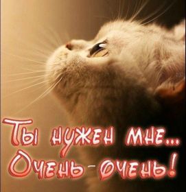 Открытка. Открытки Скучаю... Открытка скучаю, картинка скучаю, надпись скучаю, картинка скучаю без тебя Открытка скучаю, картинка скучаю, надпись скучаю, картинка скучаю без тебя, открытка скучаю по тебе, картинка я соскучилась, открытка я соскучился, я по тебе скучаю