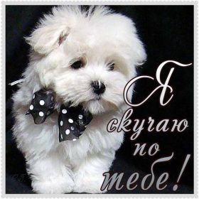 Открытка. Открытки Скучаю... Открытка скучаю, картинка скучаю, надпись скучаю, картинка скучаю без тебя Открытка скучаю, картинка скучаю, надпись скучаю, картинка скучаю без тебя, открытка скучаю по тебе, картинка я соскучилась, открытка я соскучился, я по тебе скучаю