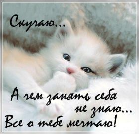 Открытка. Открытки Скучаю... Открытка скучаю, картинка скучаю, надпись скучаю, картинка скучаю без тебя Открытка скучаю, картинка скучаю, надпись скучаю, картинка скучаю без тебя, открытка скучаю по тебе, картинка я соскучилась, открытка я соскучился, я по тебе скучаю