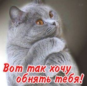 Открытка. Открытки Скучаю... Открытка скучаю, картинка скучаю, надпись скучаю, картинка скучаю без тебя Открытка скучаю, картинка скучаю, надпись скучаю, картинка скучаю без тебя, открытка скучаю по тебе, картинка я соскучилась, открытка я соскучился, я по тебе скучаю