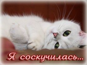 Открытка. Открытки Скучаю... Открытка скучаю, картинка скучаю, надпись скучаю, картинка скучаю без тебя Открытка скучаю, картинка скучаю, надпись скучаю, картинка скучаю без тебя, открытка скучаю по тебе, картинка я соскучилась, открытка я соскучился, я по тебе скучаю