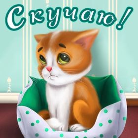 Открытка. Открытки Скучаю... Открытка скучаю, картинка скучаю, надпись скучаю, картинка скучаю без тебя Открытка скучаю, картинка скучаю, надпись скучаю, картинка скучаю без тебя, открытка скучаю по тебе, картинка я соскучилась, открытка я соскучился, я по тебе скучаю