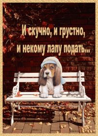 Открытка. Открытки Скучаю... Открытка скучаю, картинка скучаю, надпись скучаю, картинка скучаю без тебя Открытка скучаю, картинка скучаю, надпись скучаю, картинка скучаю без тебя, открытка скучаю по тебе, картинка я соскучилась, открытка я соскучился, я по тебе скучаю