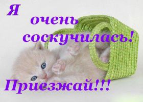 Открытка. Открытки Скучаю... Открытка скучаю, картинка скучаю, надпись скучаю, картинка скучаю без тебя Открытка скучаю, картинка скучаю, надпись скучаю, картинка скучаю без тебя, открытка скучаю по тебе, картинка я соскучилась, открытка я соскучился, я по тебе скучаю