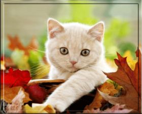 Открытка. Открытки Скучаю... Открытка скучаю, картинка скучаю, надпись скучаю, картинка скучаю без тебя Открытка скучаю, картинка скучаю, надпись скучаю, картинка скучаю без тебя, открытка скучаю по тебе, картинка я соскучилась, открытка я соскучился, я по тебе скучаю