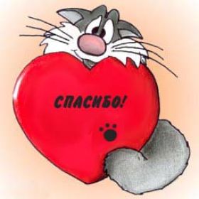 Открытка. Открытки Спасибо! Открытка спасибо, картинка спасибо, надпись спасибо, большое спасибо Открытка спасибо, картинка спасибо, надпись спасибо, большое спасибо, открытка благодарю, картинка благодарю, надпись благодарю, открытка Thank you, картинка Thank you, надпись Thank you