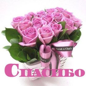 Открытка. Открытки Спасибо! Открытка спасибо, картинка спасибо, надпись спасибо, большое спасибо Открытка спасибо, картинка спасибо, надпись спасибо, большое спасибо, открытка благодарю, картинка благодарю, надпись благодарю, открытка Thank you, картинка Thank you, надпись Thank you