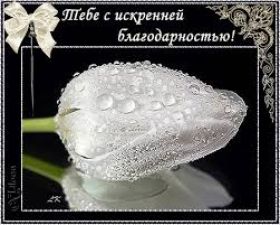 Открытка. Открытки Спасибо! Открытка спасибо, картинка спасибо, надпись спасибо, большое спасибо Открытка спасибо, картинка спасибо, надпись спасибо, большое спасибо, открытка благодарю, картинка благодарю, надпись благодарю, открытка Thank you, картинка Thank you, надпись Thank you