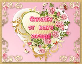 Открытка. Открытки Спасибо! Открытка спасибо, картинка спасибо, надпись спасибо, большое спасибо Открытка спасибо, картинка спасибо, надпись спасибо, большое спасибо, открытка благодарю, картинка благодарю, надпись благодарю, открытка Thank you, картинка Thank you, надпись Thank you