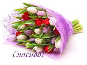 Открытка. Открытки Спасибо! Открытка спасибо, картинка спасибо, надпись спасибо, большое спасибо Открытка спасибо, картинка спасибо, надпись спасибо, большое спасибо, открытка благодарю, картинка благодарю, надпись благодарю, открытка Thank you, картинка Thank you, надпись Thank you