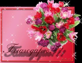 Открытка. Открытки Спасибо! Открытка спасибо, картинка спасибо, надпись спасибо, большое спасибо Открытка спасибо, картинка спасибо, надпись спасибо, большое спасибо, открытка благодарю, картинка благодарю, надпись благодарю, открытка Thank you, картинка Thank you, надпись Thank you