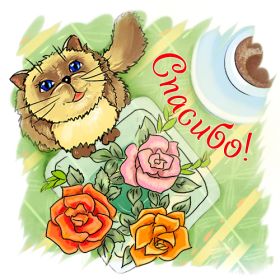 Открытка. Открытки Спасибо! Открытка спасибо, картинка спасибо, надпись спасибо, большое спасибо Открытка спасибо, картинка спасибо, надпись спасибо, большое спасибо, открытка благодарю, картинка благодарю, надпись благодарю, открытка Thank you, картинка Thank you, надпись Thank you