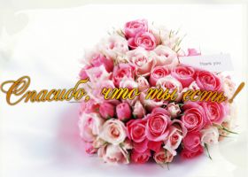 Открытка. Открытки Спасибо! Открытка спасибо, картинка спасибо, надпись спасибо, большое спасибо Открытка спасибо, картинка спасибо, надпись спасибо, большое спасибо, открытка благодарю, картинка благодарю, надпись благодарю, открытка Thank you, картинка Thank you, надпись Thank you