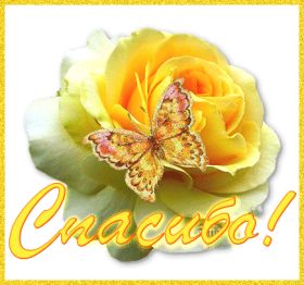 Открытка. Открытки Спасибо! Открытка спасибо, картинка спасибо, надпись спасибо, большое спасибо Открытка спасибо, картинка спасибо, надпись спасибо, большое спасибо, открытка благодарю, картинка благодарю, надпись благодарю, открытка Thank you, картинка Thank you, надпись Thank you