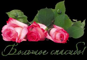 Открытка. Открытки Спасибо! Открытка спасибо, картинка спасибо, надпись спасибо, большое спасибо Открытка спасибо, картинка спасибо, надпись спасибо, большое спасибо, открытка благодарю, картинка благодарю, надпись благодарю, открытка Thank you, картинка Thank you, надпись Thank you