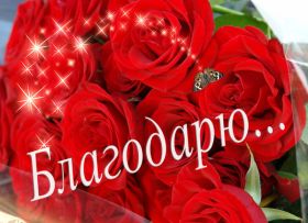 Открытка. Открытки Спасибо! Открытка спасибо, картинка спасибо, надпись спасибо, большое спасибо Открытка спасибо, картинка спасибо, надпись спасибо, большое спасибо, открытка благодарю, картинка благодарю, надпись благодарю, открытка Thank you, картинка Thank you, надпись Thank you