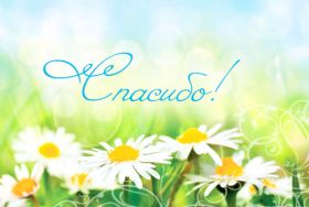 Открытка. Открытки Спасибо! Открытка спасибо, картинка спасибо, надпись спасибо, большое спасибо Открытка спасибо, картинка спасибо, надпись спасибо, большое спасибо, открытка благодарю, картинка благодарю, надпись благодарю, открытка Thank you, картинка Thank you, надпись Thank you