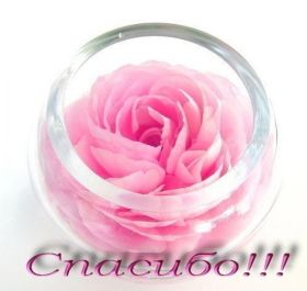 Открытка. Открытки Спасибо! Открытка спасибо, картинка спасибо, надпись спасибо, большое спасибо Открытка спасибо, картинка спасибо, надпись спасибо, большое спасибо, открытка благодарю, картинка благодарю, надпись благодарю, открытка Thank you, картинка Thank you, надпись Thank you