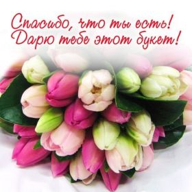 Открытка. Открытки Спасибо! Открытка спасибо, картинка спасибо, надпись спасибо, большое спасибо Открытка спасибо, картинка спасибо, надпись спасибо, большое спасибо, открытка благодарю, картинка благодарю, надпись благодарю, открытка Thank you, картинка Thank you, надпись Thank you