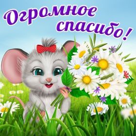 Открытка. Открытки Спасибо! Открытка спасибо, картинка спасибо, надпись спасибо, большое спасибо Открытка спасибо, картинка спасибо, надпись спасибо, большое спасибо, открытка благодарю, картинка благодарю, надпись благодарю, открытка Thank you, картинка Thank you, надпись Thank you