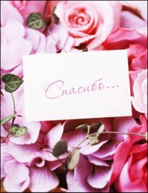 Открытка. Открытки Спасибо! Открытка спасибо, картинка спасибо, надпись спасибо, большое спасибо Открытка спасибо, картинка спасибо, надпись спасибо, большое спасибо, открытка благодарю, картинка благодарю, надпись благодарю, открытка Thank you, картинка Thank you, надпись Thank you