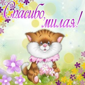 Открытка. Открытки Спасибо! Открытка спасибо, картинка спасибо, надпись спасибо, большое спасибо Открытка спасибо, картинка спасибо, надпись спасибо, большое спасибо, открытка благодарю, картинка благодарю, надпись благодарю, открытка Thank you, картинка Thank you, надпись Thank you