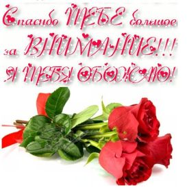 Открытка. Открытки Спасибо! Открытка спасибо, картинка спасибо, надпись спасибо, большое спасибо Открытка спасибо, картинка спасибо, надпись спасибо, большое спасибо, открытка благодарю, картинка благодарю, надпись благодарю, открытка Thank you, картинка Thank you, надпись Thank you