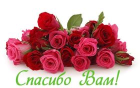 Открытка. Открытки Спасибо! Открытка спасибо, картинка спасибо, надпись спасибо, большое спасибо Открытка спасибо, картинка спасибо, надпись спасибо, большое спасибо, открытка благодарю, картинка благодарю, надпись благодарю, открытка Thank you, картинка Thank you, надпись Thank you