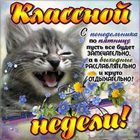 Открытка. Открытки про дни недели Открытка счастливой недели, картинка удачной недели, желаю удачной недели Открытки про субботу, картинка суббота, желаю хорошей субботы, открытка отличной недели, поздравляю с началом новой недели, картинка успешной недели, картинка легкой недели