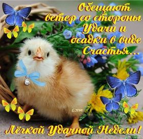 Открытка. Открытки про дни недели Открытка счастливой недели, картинка удачной недели, желаю удачной недели Открытки про субботу, картинка суббота, желаю хорошей субботы, открытка отличной недели, поздравляю с началом новой недели, картинка успешной недели, картинка легкой недели