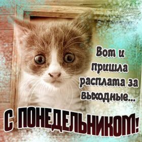 Открытка. Открытки про дни недели Открытки про понедельник, картинка понедельник, легкого понедельника Открытки про понедельник, картинка понедельник, открытка легкого понедельника, надпись понедельник, картинка отличного понедельника, картинка опять понедельник