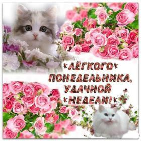 Открытка. Открытки про дни недели Открытки про понедельник, картинка понедельник, легкого понедельника Открытки про понедельник, картинка понедельник, открытка легкого понедельника, надпись понедельник, картинка отличного понедельника, картинка опять понедельник