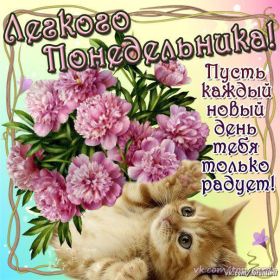 Открытка. Открытки про дни недели Открытки про понедельник, картинка понедельник, легкого понедельника Открытки про понедельник, картинка понедельник, открытка легкого понедельника, надпись понедельник, картинка отличного понедельника, картинка опять понедельник