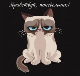 Открытка. Открытки про дни недели Открытки про понедельник, картинка понедельник, легкого понедельника Открытки про понедельник, картинка понедельник, открытка легкого понедельника, надпись понедельник, картинка отличного понедельника, картинка опять понедельник