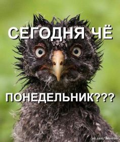 Открытка. Открытки про дни недели Открытки про понедельник, картинка понедельник, легкого понедельника Открытки про понедельник, картинка понедельник, открытка легкого понедельника, надпись понедельник, картинка отличного понедельника, картинка опять понедельник