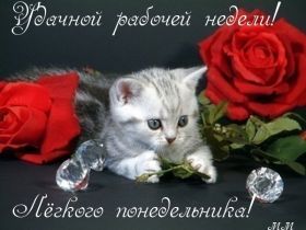 Открытка. Открытки про дни недели Открытки про понедельник, картинка понедельник, легкого понедельника Открытки про понедельник, картинка понедельник, открытка легкого понедельника, надпись понедельник, картинка отличного понедельника, картинка опять понедельник