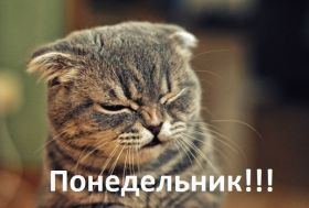 Открытка. Открытки про дни недели Открытки про понедельник, картинка понедельник, легкого понедельника Открытки про понедельник, картинка понедельник, открытка легкого понедельника, надпись понедельник, картинка отличного понедельника, картинка опять понедельник