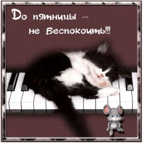 Открытка. Открытки про дни недели Открытки про субботу, картинка пятница, ура пятница, завтра пятница Открытки про пятницу, картинка пятница, ура пятница, завтра пятница, картинка нескучной пятницы, открытка сегодня пятница, открытка с пятницей, открытка хороших выходных