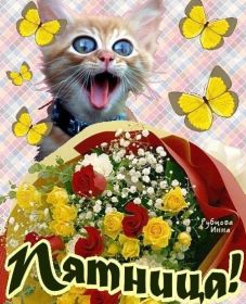 Открытка. Открытки про дни недели Открытки про субботу, картинка пятница, ура пятница, завтра пятница Открытки про пятницу, картинка пятница, ура пятница, завтра пятница, картинка нескучной пятницы, открытка сегодня пятница, открытка с пятницей, открытка хороших выходных