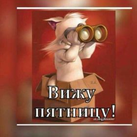 Открытка. Открытки про дни недели Открытки про субботу, картинка пятница, ура пятница, завтра пятница Открытки про пятницу, картинка пятница, ура пятница, завтра пятница, картинка нескучной пятницы, открытка сегодня пятница, открытка с пятницей, открытка хороших выходных