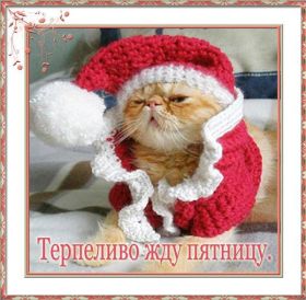 Открытка. Открытки про дни недели Открытки про субботу, картинка пятница, ура пятница, завтра пятница Открытки про пятницу, картинка пятница, ура пятница, завтра пятница, картинка нескучной пятницы, открытка сегодня пятница, открытка с пятницей, открытка хороших выходных