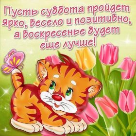 Открытка. Открытки про дни недели Открытки про субботу, картинка суббота, желаю хорошей субботы Открытки про субботу, картинка суббота, желаю хорошей субботы, картинка приятной субботы, с субботним днем, сегодня суббота, открытка суббота, надпись суббота