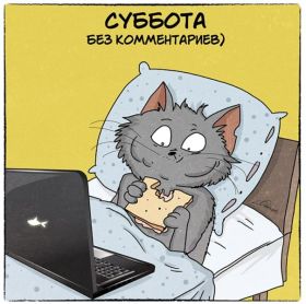 Открытка. Открытки про дни недели Открытки про субботу, картинка суббота, желаю хорошей субботы Открытки про субботу, картинка суббота, желаю хорошей субботы, картинка приятной субботы, с субботним днем, сегодня суббота, открытка суббота, надпись суббота