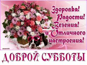 Открытка. Открытки про дни недели Открытки про субботу, картинка суббота, желаю хорошей субботы Открытки про субботу, картинка суббота, желаю хорошей субботы, картинка приятной субботы, с субботним днем, сегодня суббота, открытка суббота, надпись суббота