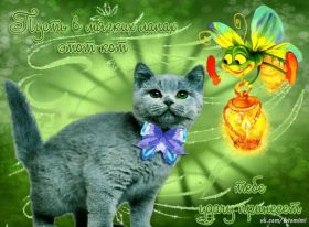 Открытка. Картинки про кошек Картинка кошка, открытка про кошек, приколы про кошек, кошка Картинка кошка, открытка про кошек, приколы про кошек, кошка, фразочки про кошек, прикольная открытка про кошек, картинка про кошек, надписи про кошек, прикольные фразы про кошек