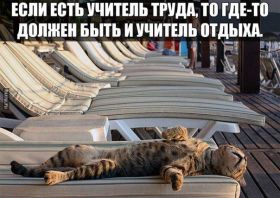 Открытка. Картинки про кошек Картинка кошка, открытка про кошек, приколы про кошек, кошка Картинка кошка, открытка про кошек, приколы про кошек, кошка, фразочки про кошек, прикольная открытка про кошек, картинка про кошек, надписи про кошек, прикольные фразы про кошек