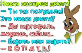 Открытка. Картинки про диеты Картинки про диеты, фразочки про диеты, диета, проколы про диеты Картинки про диеты, фразочки про диеты, диета, проколы про диеты, открытки про диеты, анекдот про диету, картинка про диету