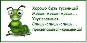Открытка. Картинки про диеты Картинки про диеты, фразочки про диеты, диета, проколы про диеты Картинки про диеты, фразочки про диеты, диета, проколы про диеты, открытки про диеты, анекдот про диету, картинка про диету