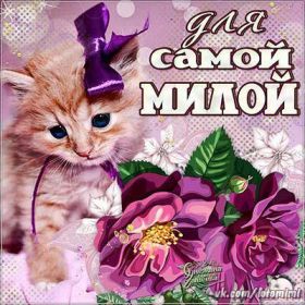 Открытка! Открытка для подружки, картинка для подружки, надпись моей подруге